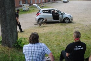 Zdjęcie kolorowe. Policjant spuścił psa ze smyczy. Pies biegnie w stronę pojazdu, gdzie siedzi pozorant.