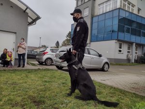 Zdjęcie kolorowe. Przewodnicy psów służbowych prowadzą zajęcia