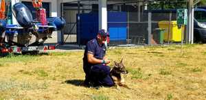 Zdjęcie kolorowe. Policjant kuca przy swoim psie służbowym