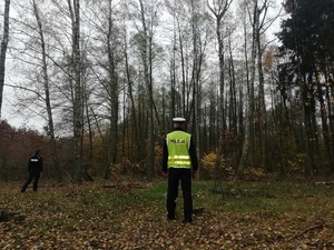 Zdjęcie kolorowe. Na skraju lasu stoją umundurowani policja