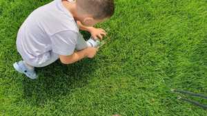 Zdjęcie kolorowe. Dzieci patrząc na trawę przez szkiełko powiększające szukają owadów