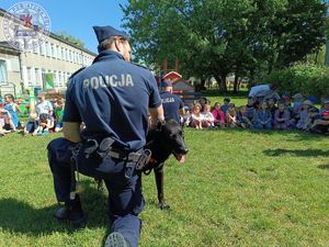 Zdjęcie kolorowe. Przewodnik psa służbowego ćwiczy z psem