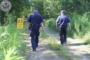 Zdjęcie kolorowe. Policjanci idą leśną drogą. Z lewej strony żółty znak zakaz wstępu do lasu - ścinka i wyrąb drzew