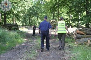 Zdjęcie kolorowe. Policjant u boku strażniczki leśnej ubranej w kamizelkę odblaskową idą leśną drogą