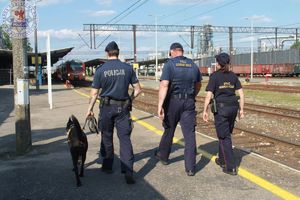 Zdjęcie kolorowe. Policjant przewodnik psa służbowego z psem oraz patrolem straży ochrony kolei idą wzdłuż peronu