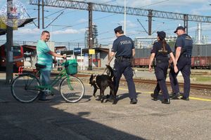 Zdjęcie kolorowe. Policjant przewodnik psa służbowego z psem oraz patrolem straży ochrony kolei idą wzdłuż peronu