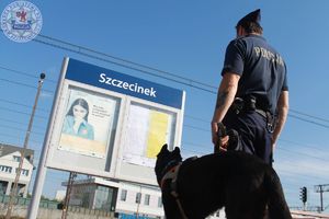 Zdjęcie kolorowe. Policjant stoi przed tablicą informacyjną z napisem Szczecinek