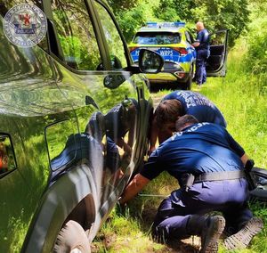 Zdjęcie kolorowe. Policjanci zmieniają koło w samochodzie. Samochód stoi na leśnej drodze