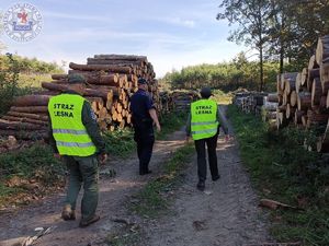 Zdjęcie kolorowe. Leśną drogą idzie policjant wspólnie z funkcjonariuszami straży leśnej