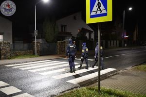 Zdjęcie kolorowe. Policjant wspólnie ze strażnikami miejskimi przechodzi przez przejście dla pieszych