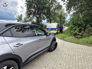 Zdjęcie kolorowe. Na poboczu stoi zaparkowany srebrny z czarnym dachem samochód przed nim policyjny bus
