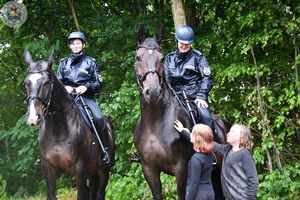 Zdjęcie kolorowe. Policjantki na koniach służbowych