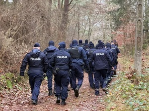 Zdjęcie kolorowe. Grupa umundurowanych policjantów idzie leśną ścieżką
